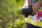 An active senior woman doing garden works on her huge botanic garden during lovely spring, summer time