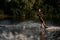 Active sportive man in wetsuit energetically balancing on water surface on wakeboard