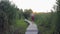 Active sports female with beautiful figure in fitness clothes runs on wooden bridge in nature among reeds at sundown