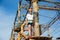 Active sporty kid in helmet doing activity in adventure park with all climbing equipment. Active children climb on the trees