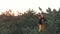 Active sporty Wild redhead girl climb up on the top of pine tree. Aerial shot Coniferous forest