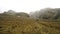 Active trekkers walking in the valley surrounded by Rwenzori Moon Mountains in Uganda in a cold misty foggy morning