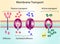 Active vs passive transport for Molecules movement in cell.