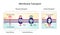 Active vs passive transport for Molecules movement in cell. Membrane transport, different concentration gradient