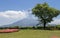 Active Vulcan Sakurajima covered by green Landscape. Taken from the wonderful Sengan-en Garden. Located in Kagoshima, Kyushu,