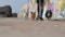 active walking of young sport woman leading three little dogs on leash on summer pier during leisure activity