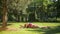 Active woman doing stretching exercises in park