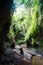 Active Woman Hiking through Scenic Dense Foggy Forest with Rock Canyon and Tree with Backpack on Running Trail.