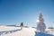 Active woman snowshoeing on a clear sunny day passing by a frozen snow covered fir tree