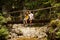 Active young cople hiking on a wooden brifge over mountain creek