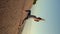 Active young woman stretching and practicing yoga on beach at sunset.