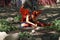 An actress dressed as a butterfly fairy performs at the annual Bristol Renaissance Faire