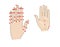 Acupuncture hand massage. Shiatsu. Active points. Isolated on a white background