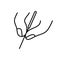 Acupuncture logo. Linear icon of two fingers hold needle. Black simple illustration of alternative medicine and reflexology.