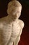 Acupuncture meridian lines training mannequin figurine.