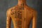 Acupuncture model. Mannequin with dots and lines on dark grey background, back view