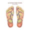 Acupuncture points on the feet. Reflex zones on the feet. Vector illustration