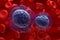 Acute myeloid leukemia (AML) cells in blood flow - closeup view 3d illustration