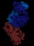 Adalimumab antibody fragment in complex with tumor necrosis factor alpha