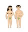Adam and Eve. Biblical narrative of human origin. Vector illustration
