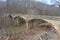 Adandoned arch bridge in rural South Carolina USA