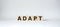 Adapt symbol. Concept word Adapt on wooden cubes. Beautiful white background. Business and Adapt concept. Copy space