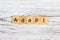 ADAPT Word Written In Wooden Cube concept