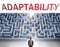 Adaptability can be hard to get - pictured as a word Adaptability and a maze to symbolize that there is a long and difficult path