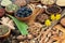 Adaptogen Food Selection