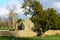 Adare Friary Ruins in Ireland