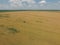 Adding herbicide tractor on the field of ripe wheat. View from above.