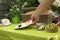 Adding a plate of sushi to the picknick table