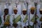 Addis Ababa, Ethiopia: Choir boys attending Timkat Epiphany traditional celebration