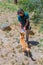 ADELAIDE, AUSTRALIA, JANUARY 6, 2020: A volunteer is feeding a dingo at cleland wildlife park at Adelaide, Australia