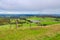 Adelaide Hills green farmlands during winter season