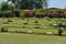 Adelaide River War Cemetry