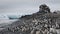 Adelie penguin in Antarctica