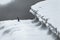 Adelie Penguin Blue Iceberg Closeup Charlotte Bay Antarctica