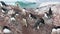 Adelie penguin colony on an island near the Antarctic Peninsula