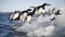 Adelie Penguin, pygoscelis adeliae, Group Leaping into Ocean, Paulet Island in Antarctica