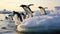 Adelie Penguin, pygoscelis adeliae, Group Leaping into Ocean, Paulet Island in Antarctica