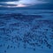 Adelie Penguins Huddle on Snowy Beach at Blue Hour