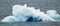 Adelie Penguins on Ice