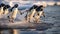 Adelie penguins jump into the ocean from an iceberg. Generative Ai