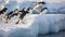 Adelie penguins jump into the ocean from an iceberg. Generative Ai