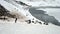 Adelie Penguins on Paulet Island, Antarctica