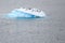 Adelie Penguins resting on small shiny iceberg. Blue and turquoise iceberg in Antarctica and penguins in water..