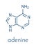 Adenine A, Adenine purine nucleobase molecule. Base present in DNA and RNA. Skeletal formula.