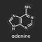 Adenine chemical formula