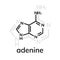 Adenine chemical formula